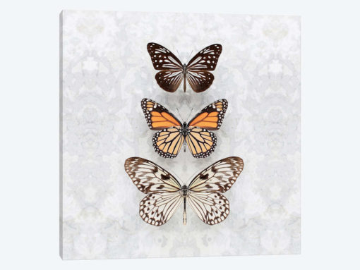 Three Speckled Butterflies
