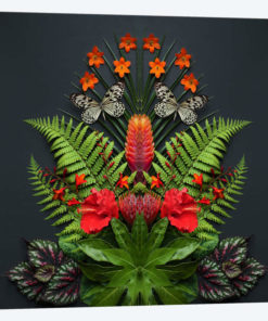 Tropical Flowers And Butterflies