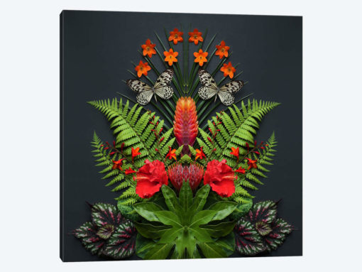 Tropical Flowers And Butterflies