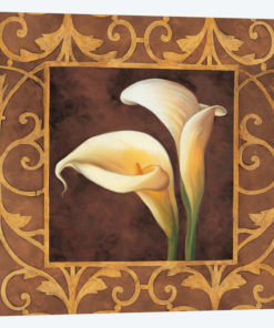 Ornamental Callas