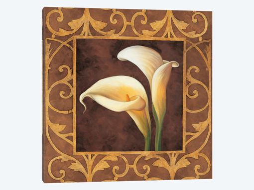 Ornamental Callas