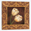 Ornamental Tulips
