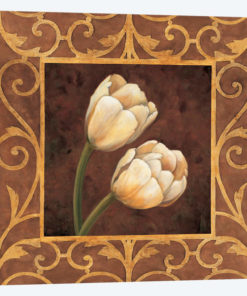 Ornamental Tulips