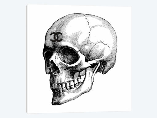 Skull