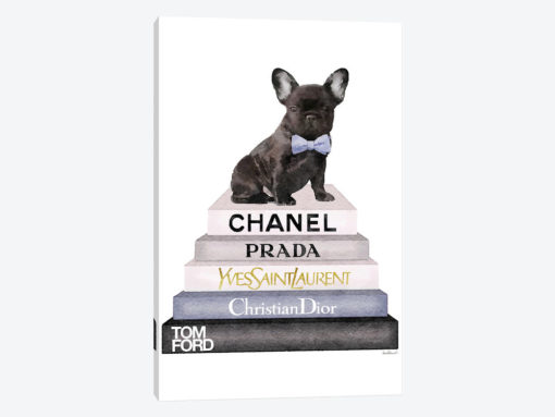 Bookstack & Black Frenchie