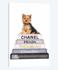 Bookstack & Yorkie Dog