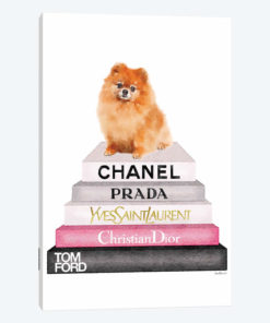 New Book Stack & Pom Dog