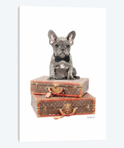 Luggage Grey Frenchie