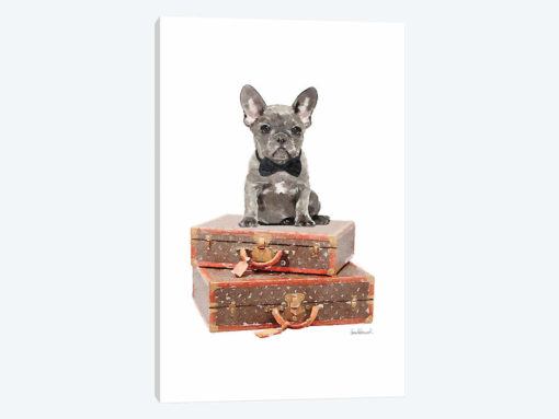 Luggage Grey Frenchie