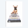 Grey And Blue Bookstack Topped With Fawn Frenchie