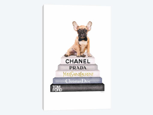 Grey And Blue Bookstack Topped With Fawn Frenchie