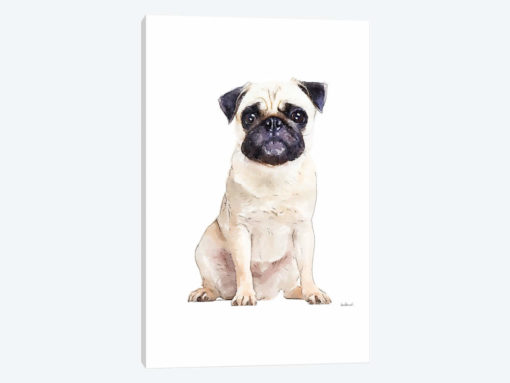 Pug