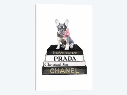 Books Of Fashion, Grey, Fawn Blue