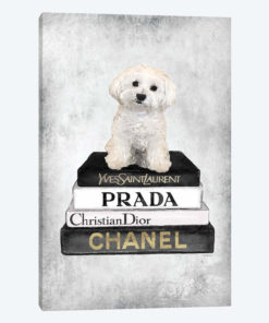Books Of Fashion, Grey, Maltese, Grey Grunge