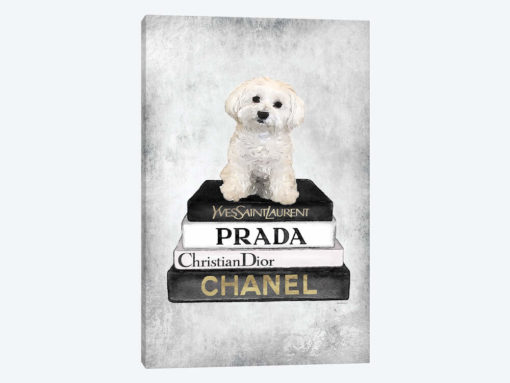 Books Of Fashion, Grey, Maltese, Grey Grunge