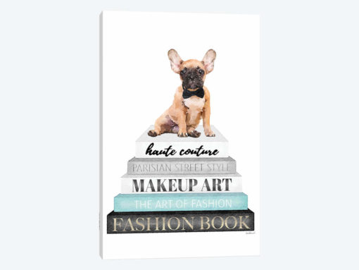 Grey Books With Teal, Fawn Frenchie