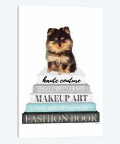 Grey Books With Teal, Pomeranian