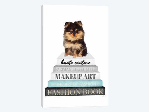 Grey Books With Teal, Pomeranian
