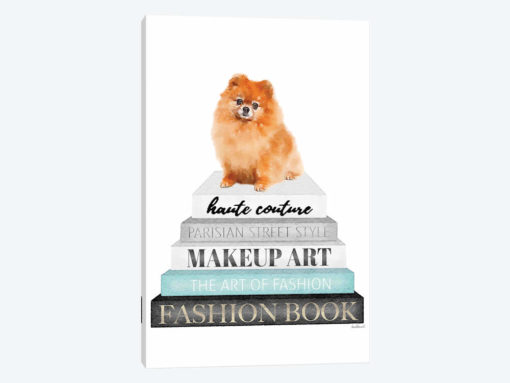 Grey Books With Teal, Red Pomeranian
