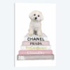 Pink Grey Books, With Maltese