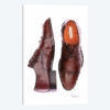 Men's Brown Shoes