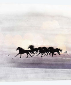 Wild And Free