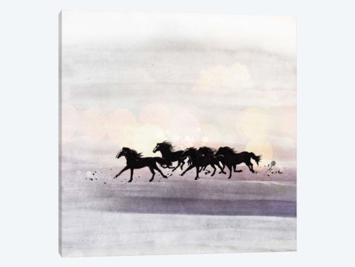 Wild And Free