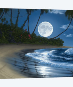 Bathed In Moonlight