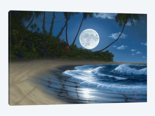 Bathed In Moonlight