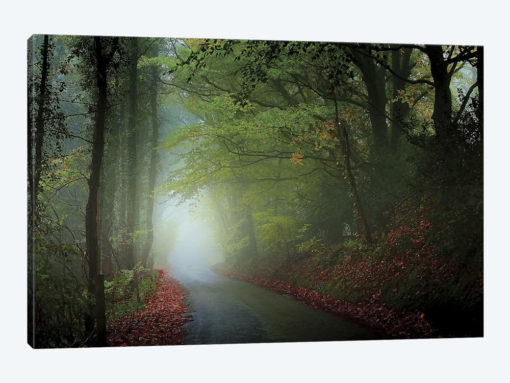 The Lane