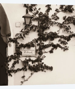 Buca di Bacco, Ristorante