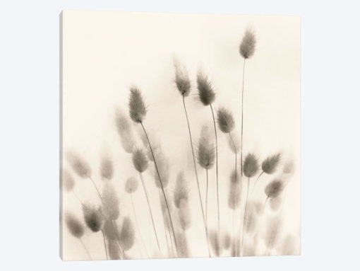 Italian Tall Grass No. 2
