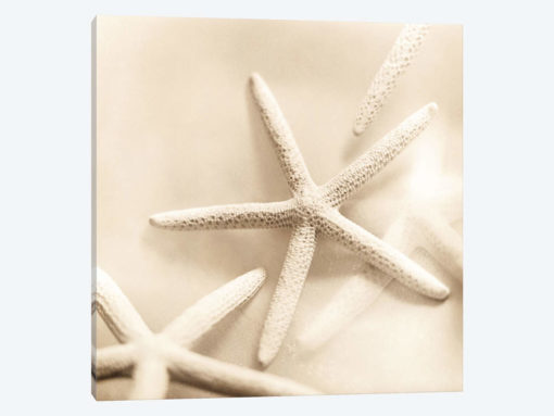 Il Oceano No. 2
