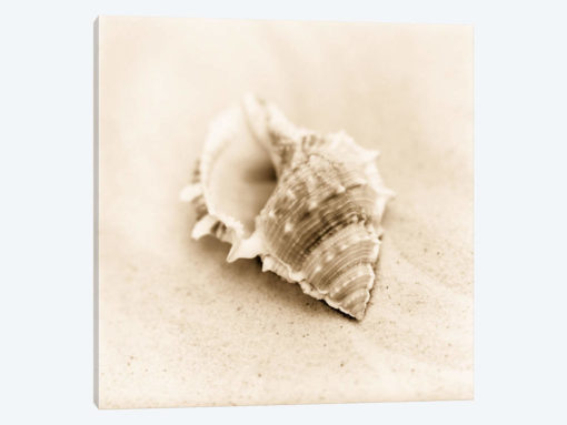 Il Oceano No. 3