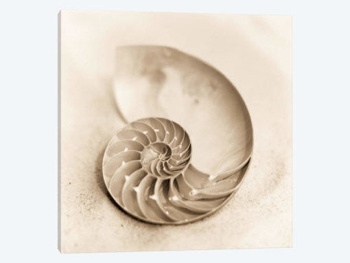 Il Oceano No. 4