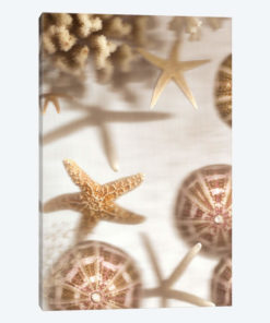 Nautical Illuminations No.3