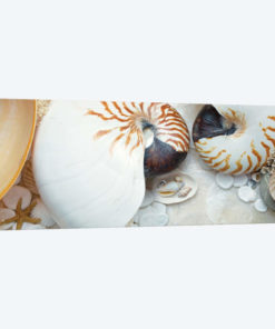 Island Tide Pool VIII