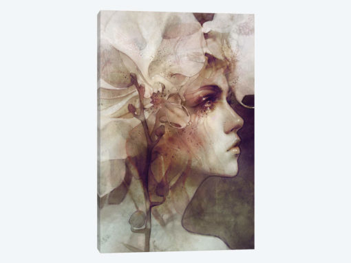 Petal