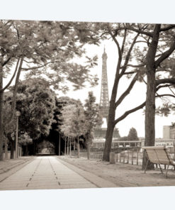 Promenade et Tour Eiffel
