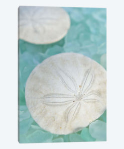 Seaglass 3