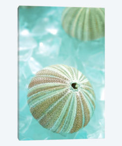 Seaglass 4