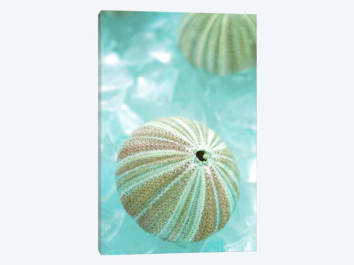 Seaglass 4