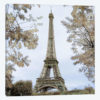 Tour Eiffel au Printemps
