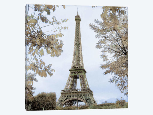 Tour Eiffel au Printemps