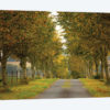 Colors Of Autumn