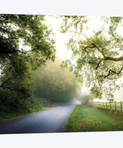 October's Fog