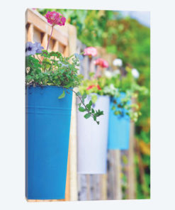 The Colored Pots