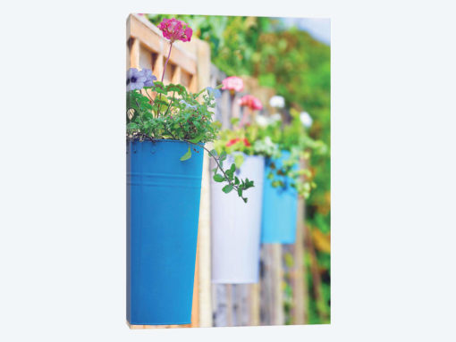 The Colored Pots