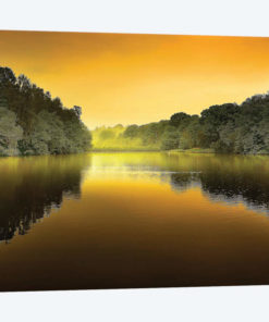The Lake