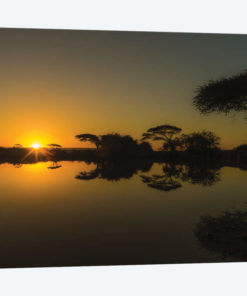 Sunset Reflections